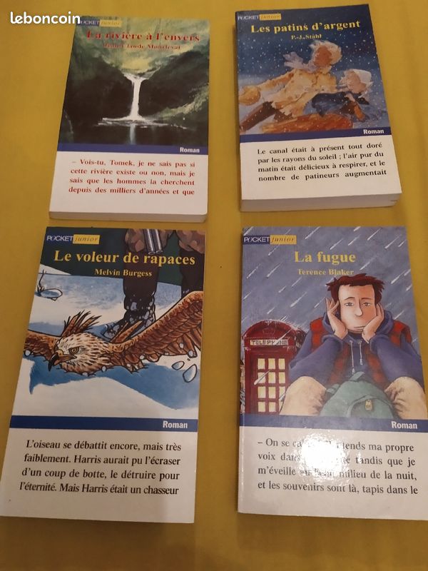 Livres pour adolescents (image 1)