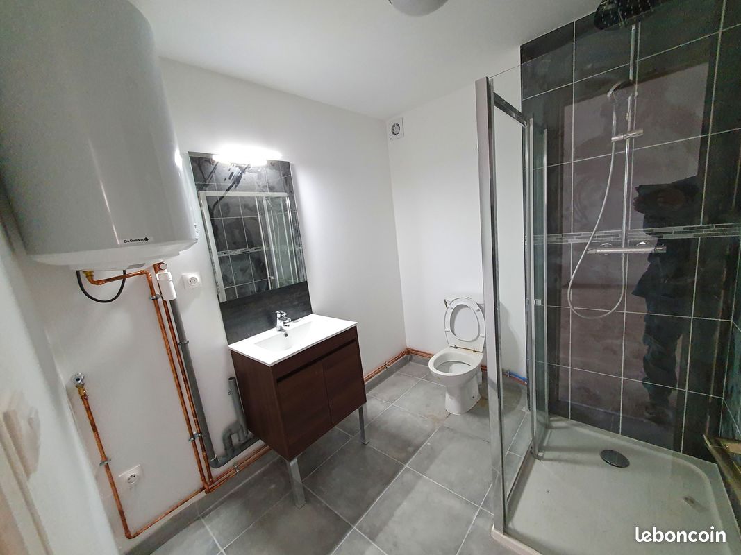 Appartement rénové Type 2 - Hyper centre (image 2)