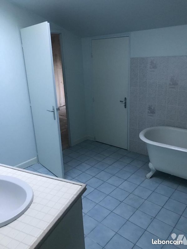 Immeuble 519 m² ANCENIS (image 5)