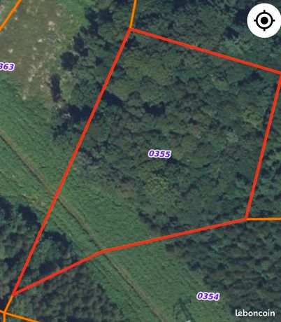 Parcelle boisée accessible 5000m2