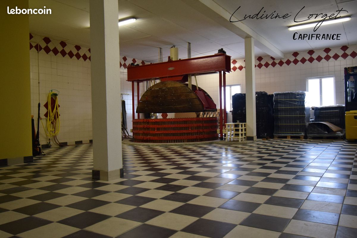Bureau 423 m² (image 17)