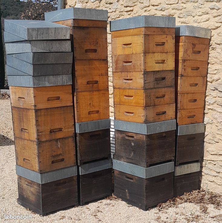 Ruche complète Dadant 10 cadres avec hausse, cadres et nourrisseur - stock 11 ruches (image 2)