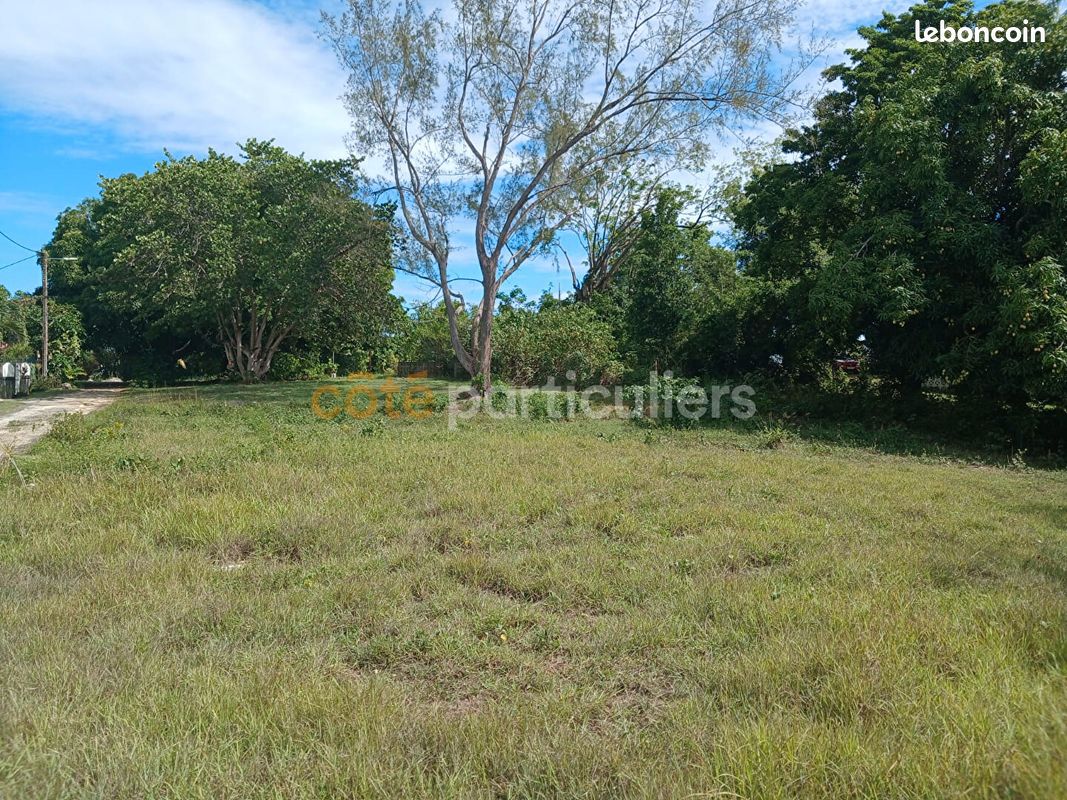 Terrain 1032 m² · à Sainte-Anne · 1 032 m² · 120 000 €