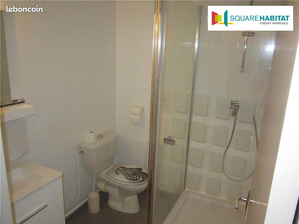 Appartement 1 pièce 27 m² (image 4)
