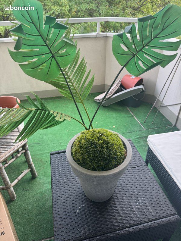Plante artificielle (image 1)