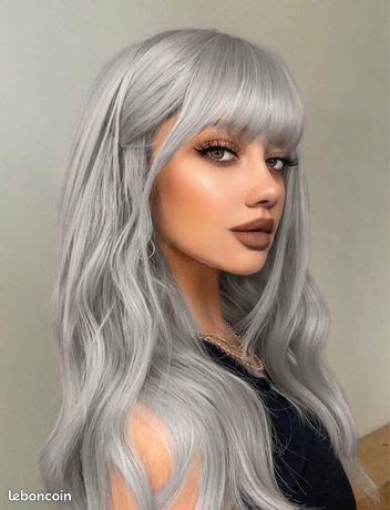 Perruque Longue Femme Gris Blanc - Synthétique Lisse Avec Frange - Bonnet Monofilament Offert - Taille Moyenne