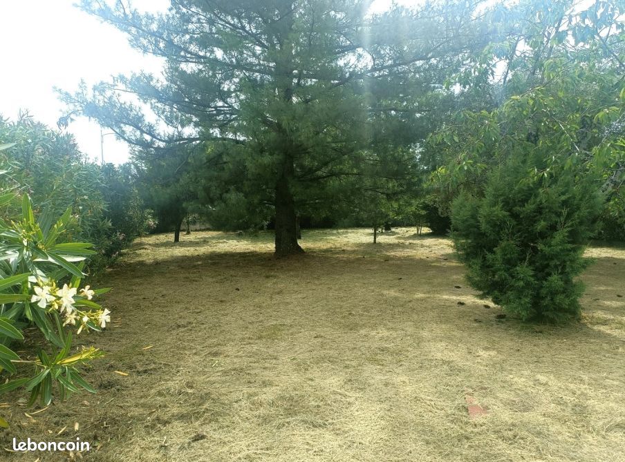 Terrain 860 m² · à Donneville · 860 m² · 155 000 €