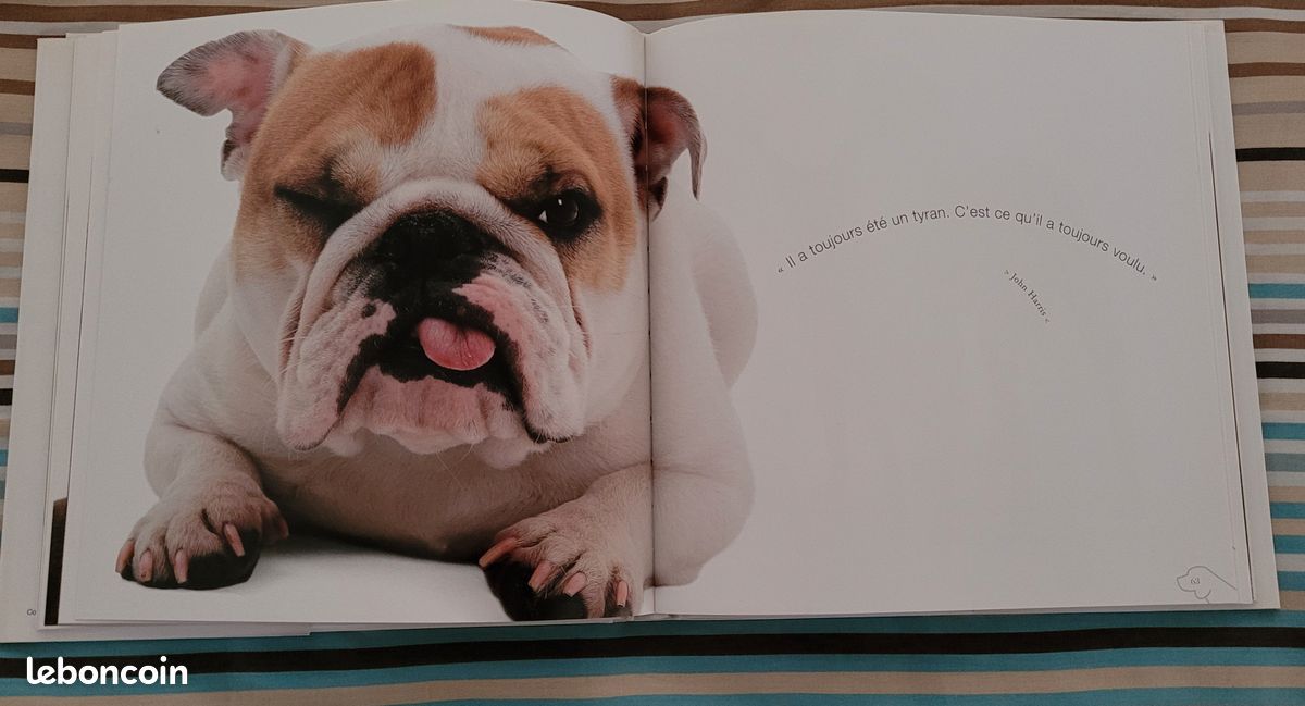 Livre photographies Drôle de chien par Araldo De Luca NEUF (image 3)