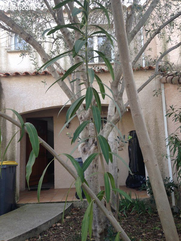 Maison 5 pièces 82 m² · à Sète · 82 m² · 335 000 €