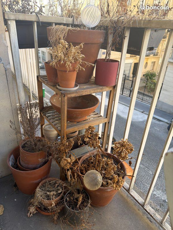 Pot plante terre cuite (image 1)