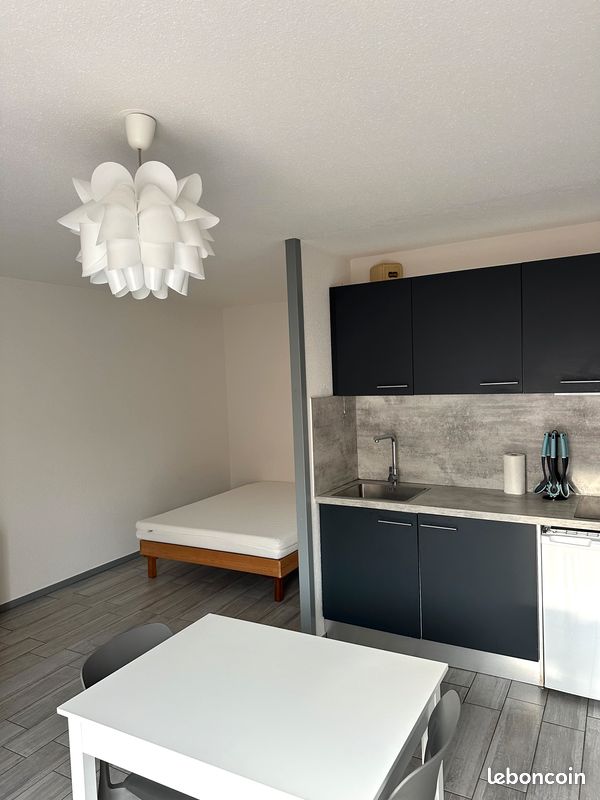 Appartement 1 pièce 30 m² · à Saint-Étienne · 30 m² · 450 €/mois