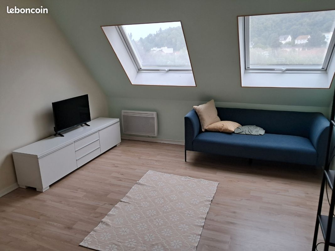 Appartement 1 pièce 24 m² · à Saint-Avold · 24 m² · 450 €/mois