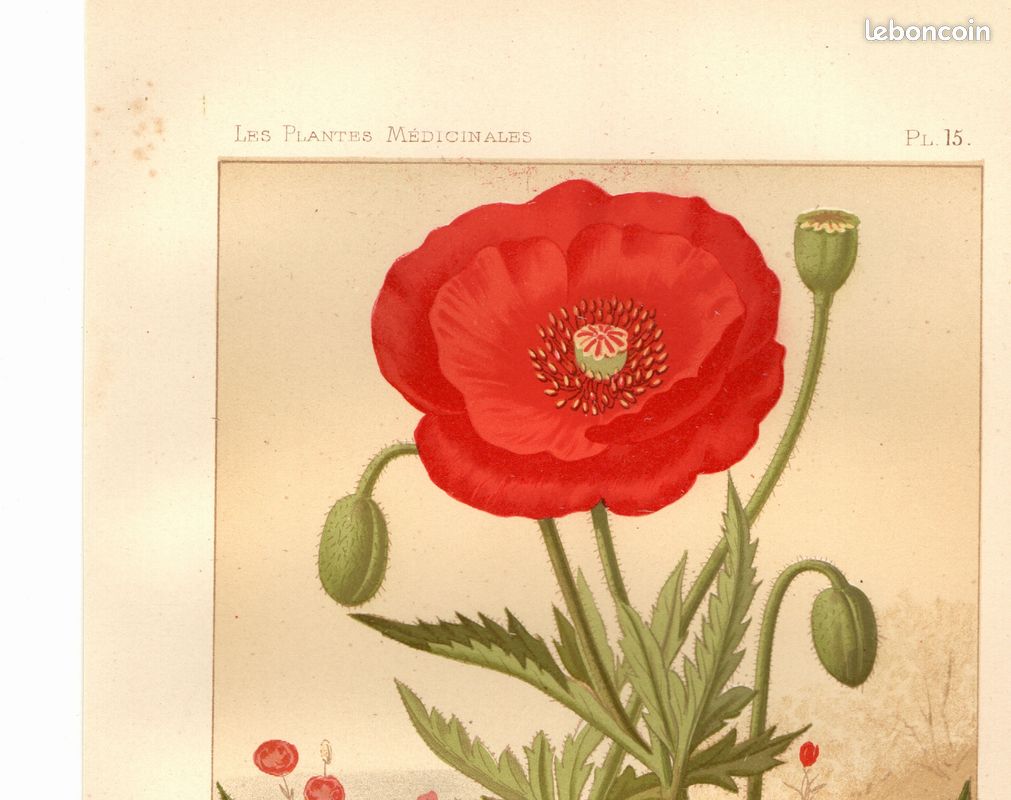 GRAVURE ANCIENNE 1883 l'art et la mode dessin de Mlle M. de Solar issue
