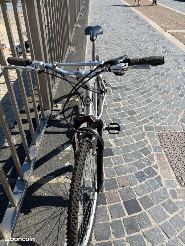 Vtt minerva (image 2)