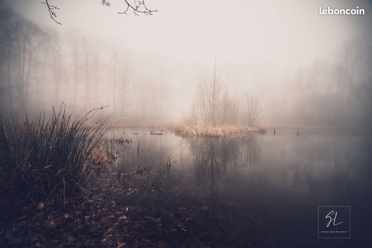 Photographies d’art — Vente privée, Nouvelle remise -50% — 29 œuvres uniques à prix réduits (image 1)