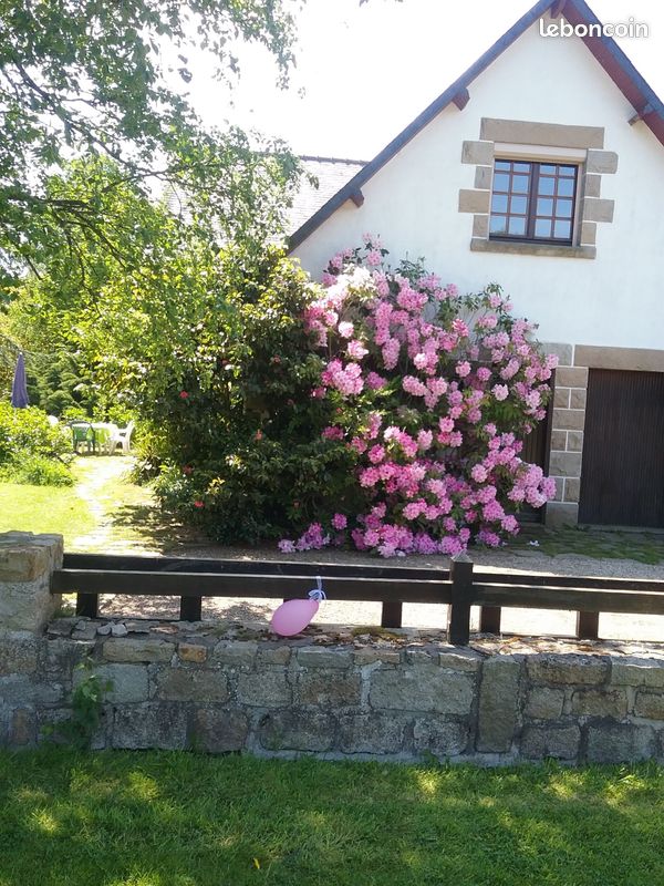 Location vacances (image 7)