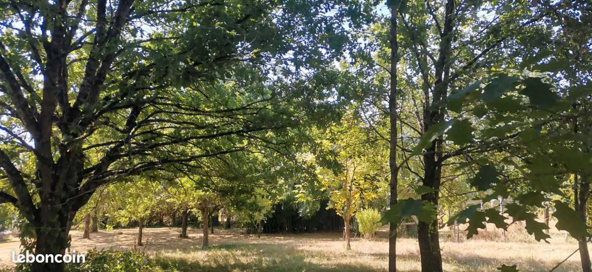Terrain 3503 m² · à Nègrepelisse · 94 500 €
