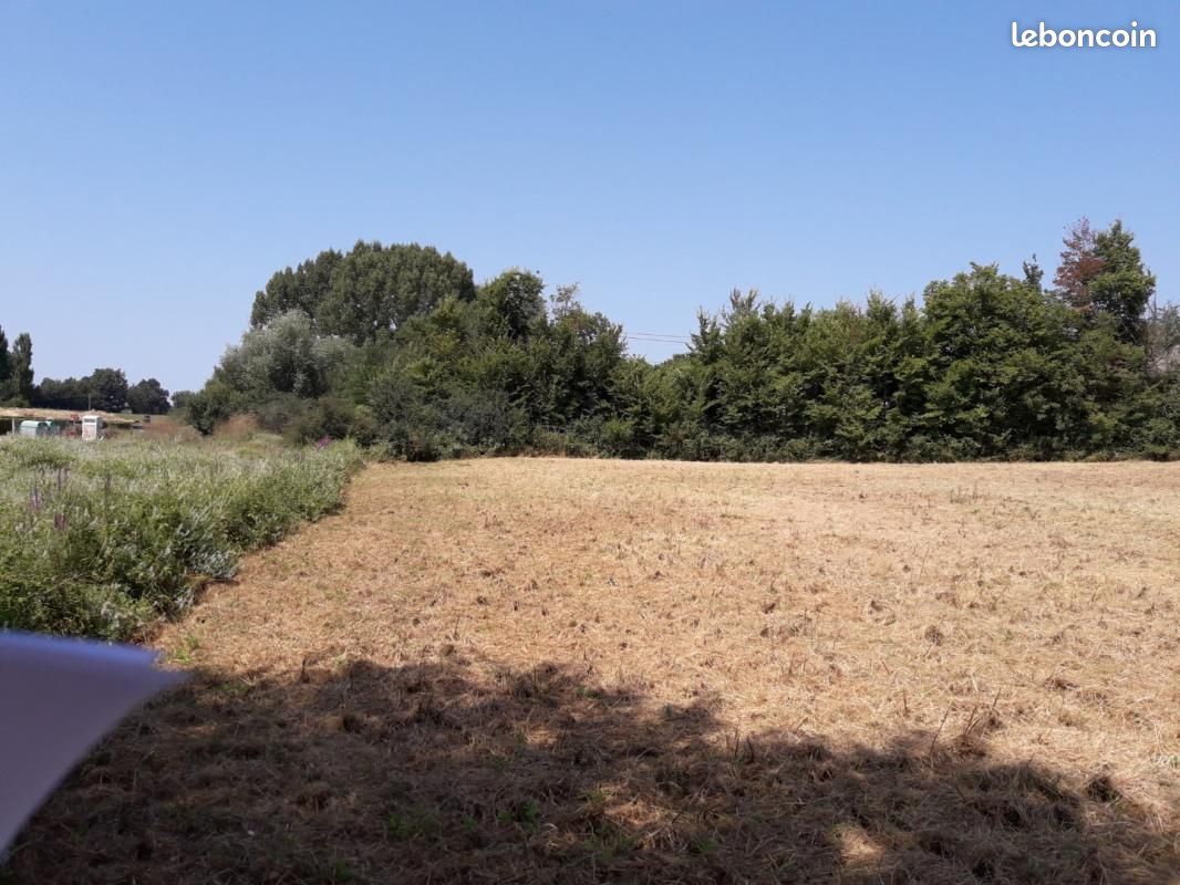Terrain 520 m² Martillac · 169 000 €