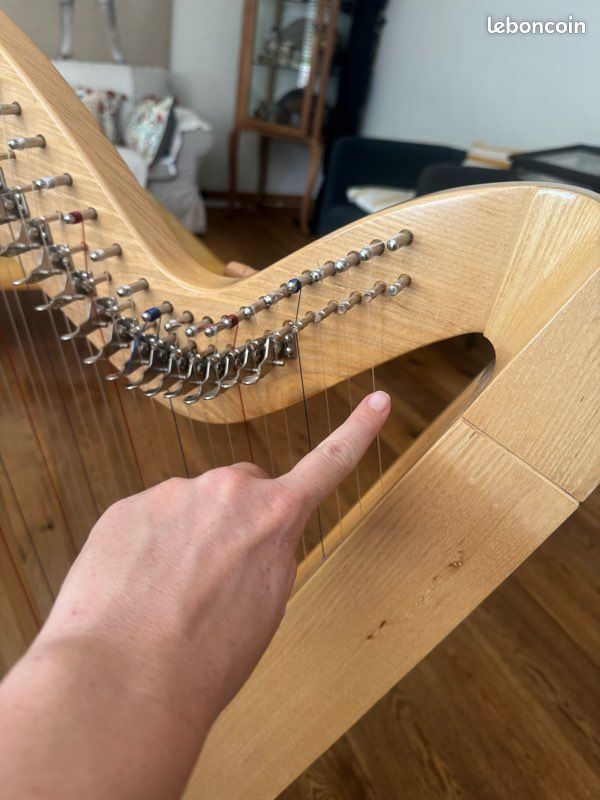 Harpe celtique 29 cordes avec housse très bon état (image 3)