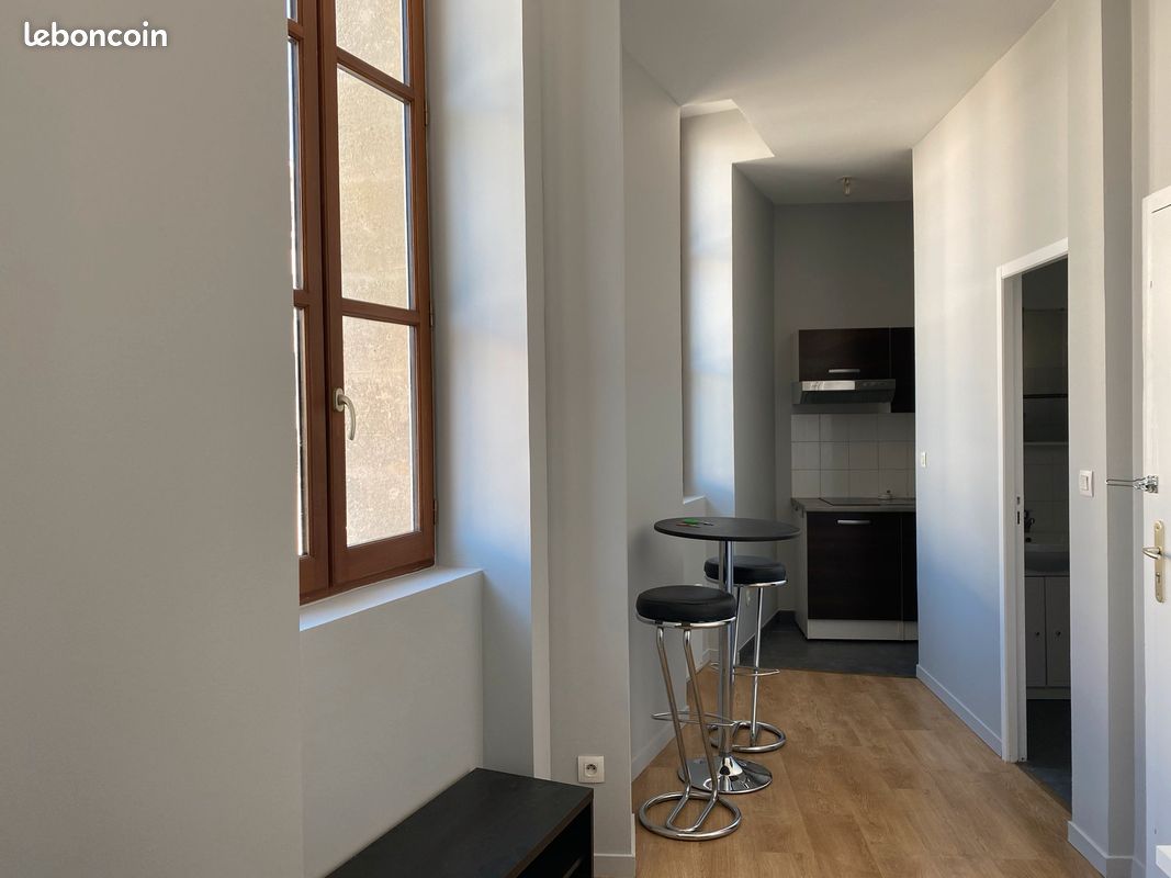 Bordeaux studio meublé - Bordeaux 33800 -Sud (image 3)