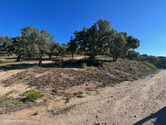Terrain 380000 m² Sainte-Maxime (image 3)