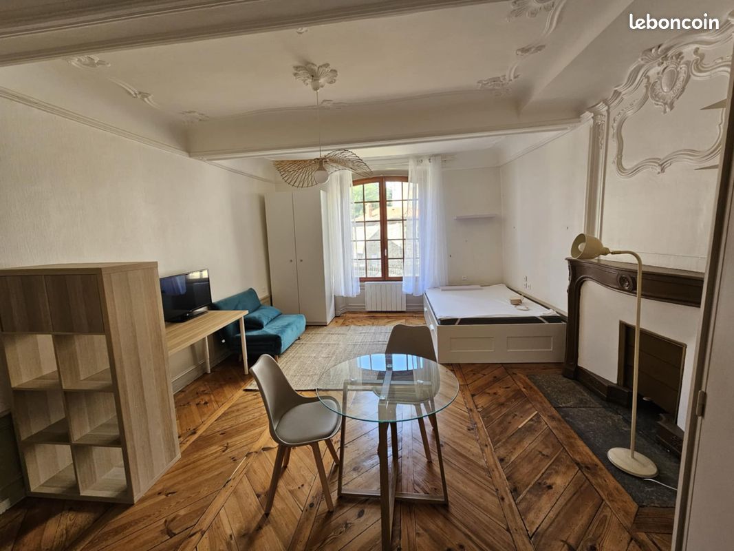 Appartement 1 pièce 30 m² · à Le Puy-en-Velay · 30 m² · 420 €/mois