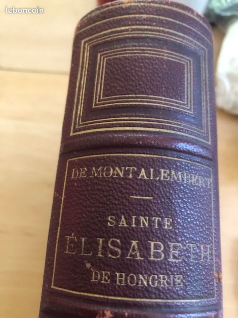 Sainte Elisabeth de Hongrie - 1878 (image 1)