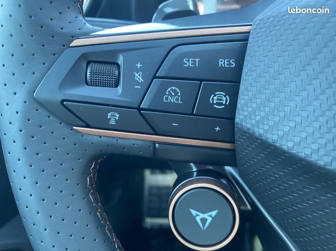 Cupra FORMENTOR 2.0 TDI 150CH V DSG7 (image 19)