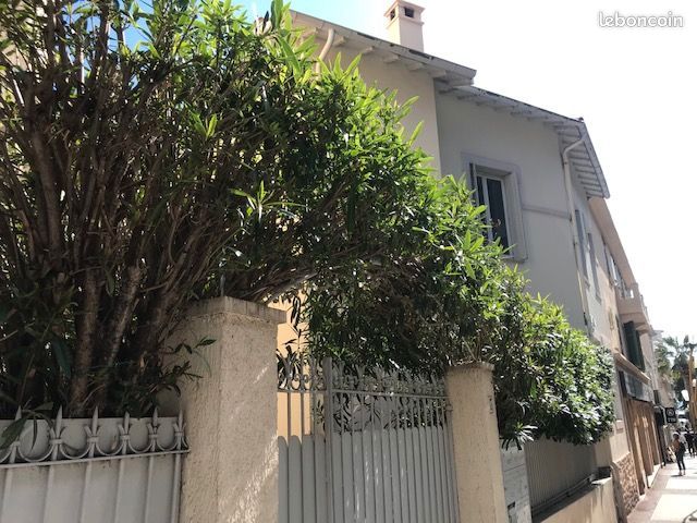 Immeuble 15 pièces 380 m² (image 18)
