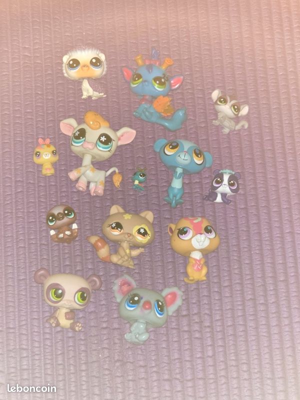 Petshops (image 1)