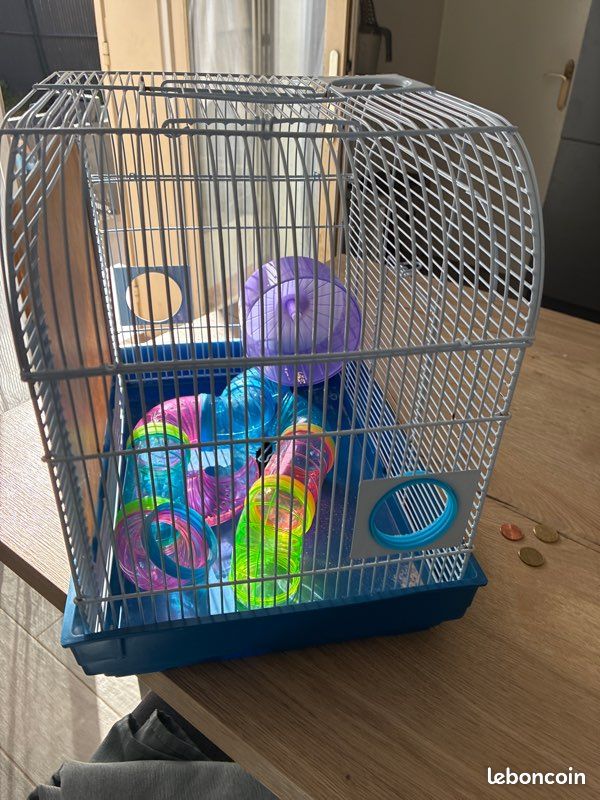 Cage hamster (image 1)