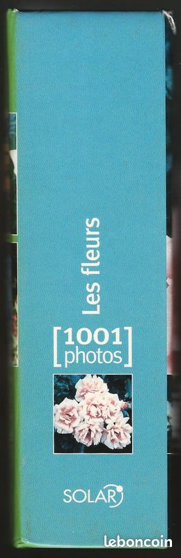 Les Fleurs - 1001 Photos (image 4)