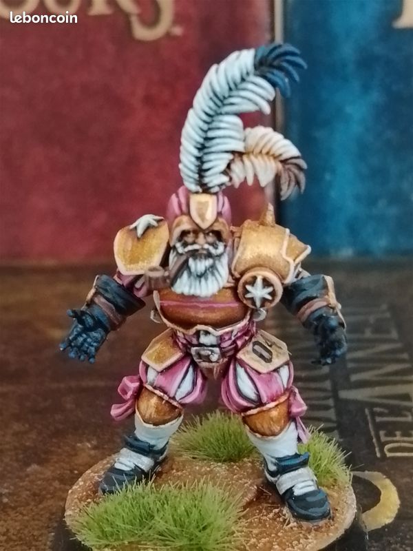 Vends Bloodbowl Team Noblesse Impériale (image 5)