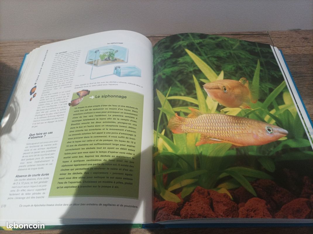 Larousse poissons et Aquariums (image 4)