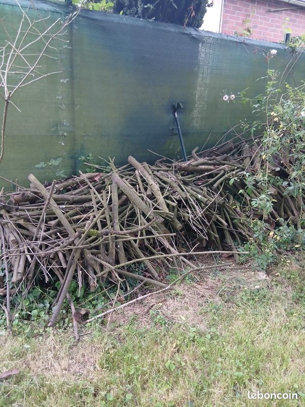 Donne bois de chauffage (image 2)