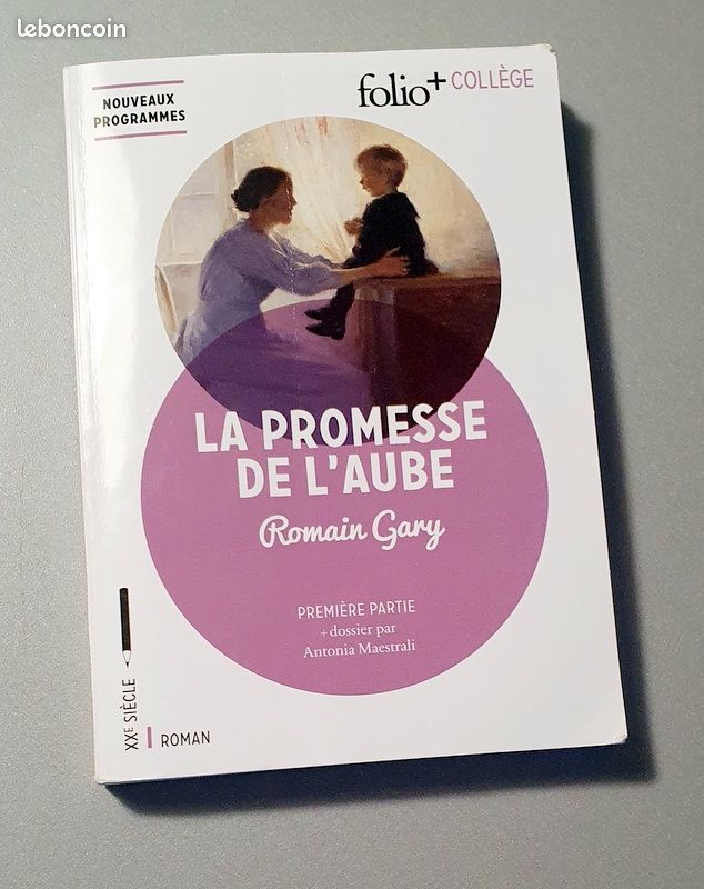 Livre pour collège - roman La promesse de l' Aube (image 1)