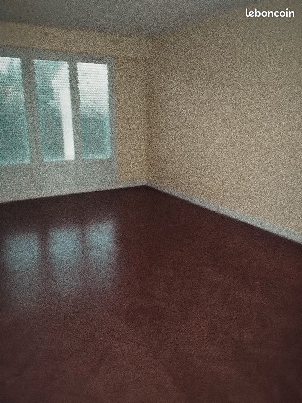 Appartement calme - Limoges 87000 Vanteaux-CHU-Mas Bouyol-Puy Rodas (image principale 2)