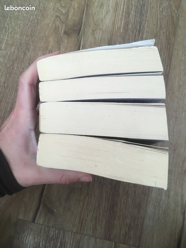 Livre Fantasy : L'intégrale L'héritage de Shannara (image 5)