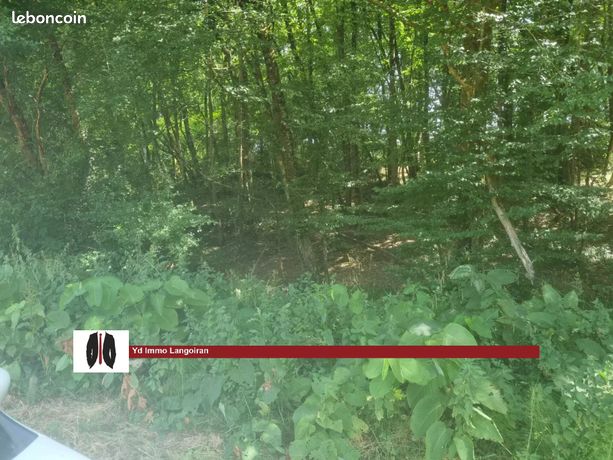 Terrain 40000 m² Capian