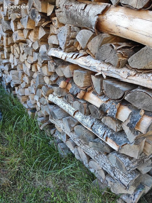 Cherche bois de chauffage sur pied (image 2)