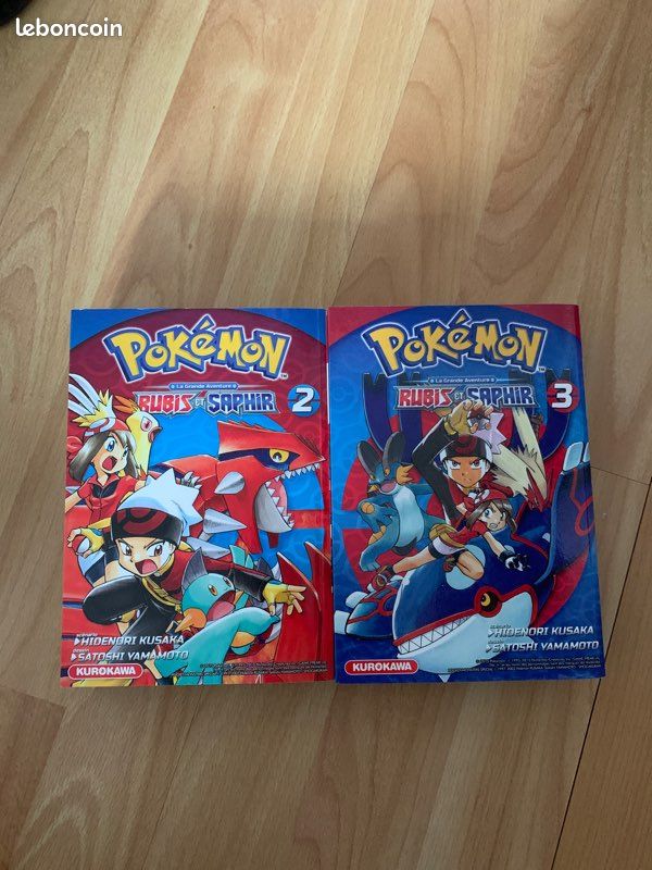 Mangas Pokémon Rubis et Saphir (image 1)