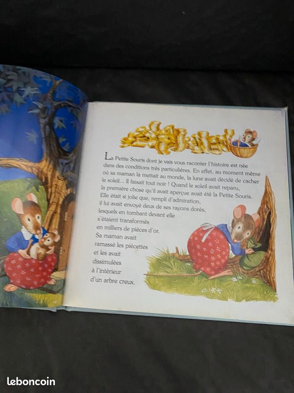 Livre la véritable histoire de la petite souris (image 3)