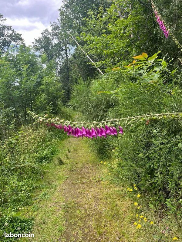 Vend terrain non constructible · à Courzieu · 45 000 €