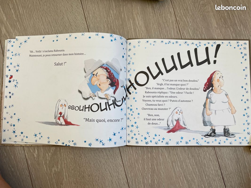 Livre la sorcière rabounia neuf (image 3)