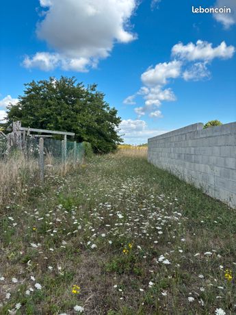 Terrain constructible