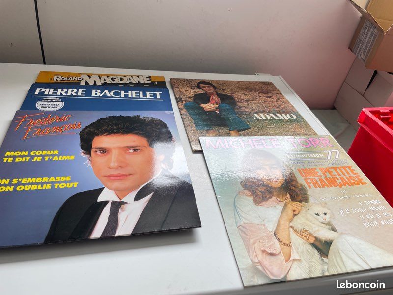 Disques vinyles 33 tours (image 1)