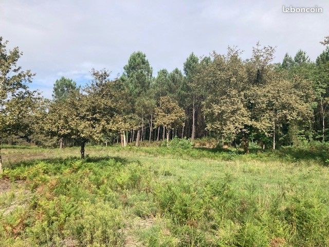 Terrain 856 m² · à Saint-Martin-d'Oney · 856 m² · 63 878 €