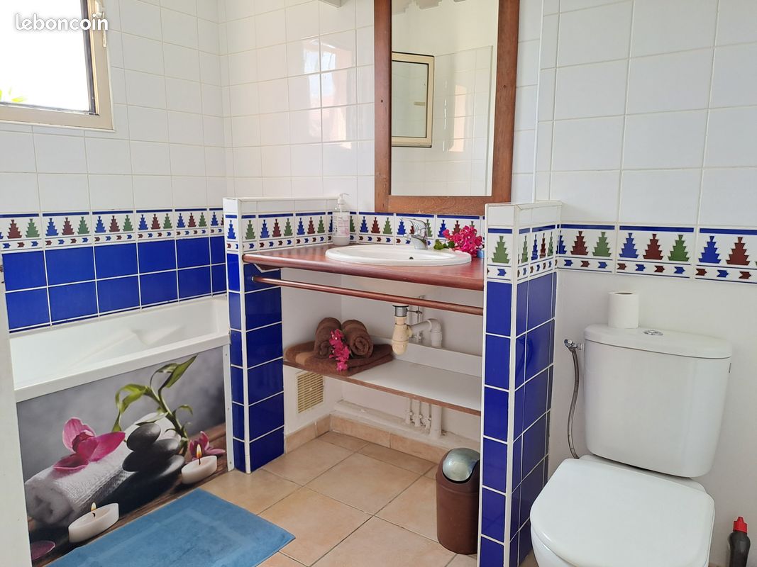 Vacances Idéales: Gosier F2&F3 (2 apparts en duplex avec jardin et piscine dans résidence sécurisée) avec citernes pour palier aux coupures d'eau (image 19)