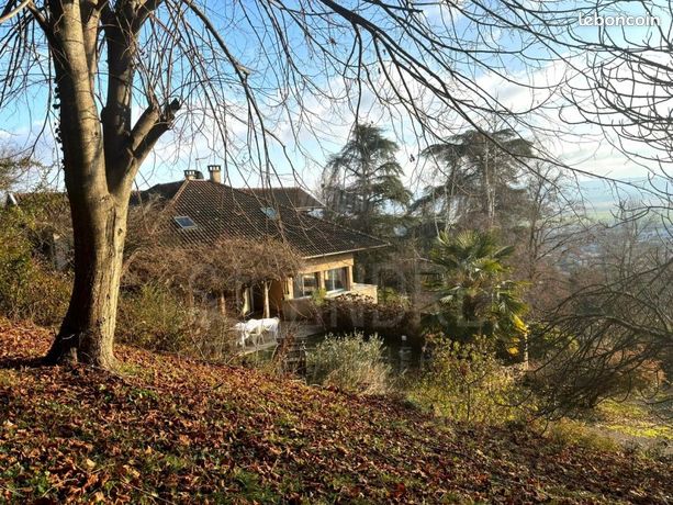 Villa 9 pièces 290 m²