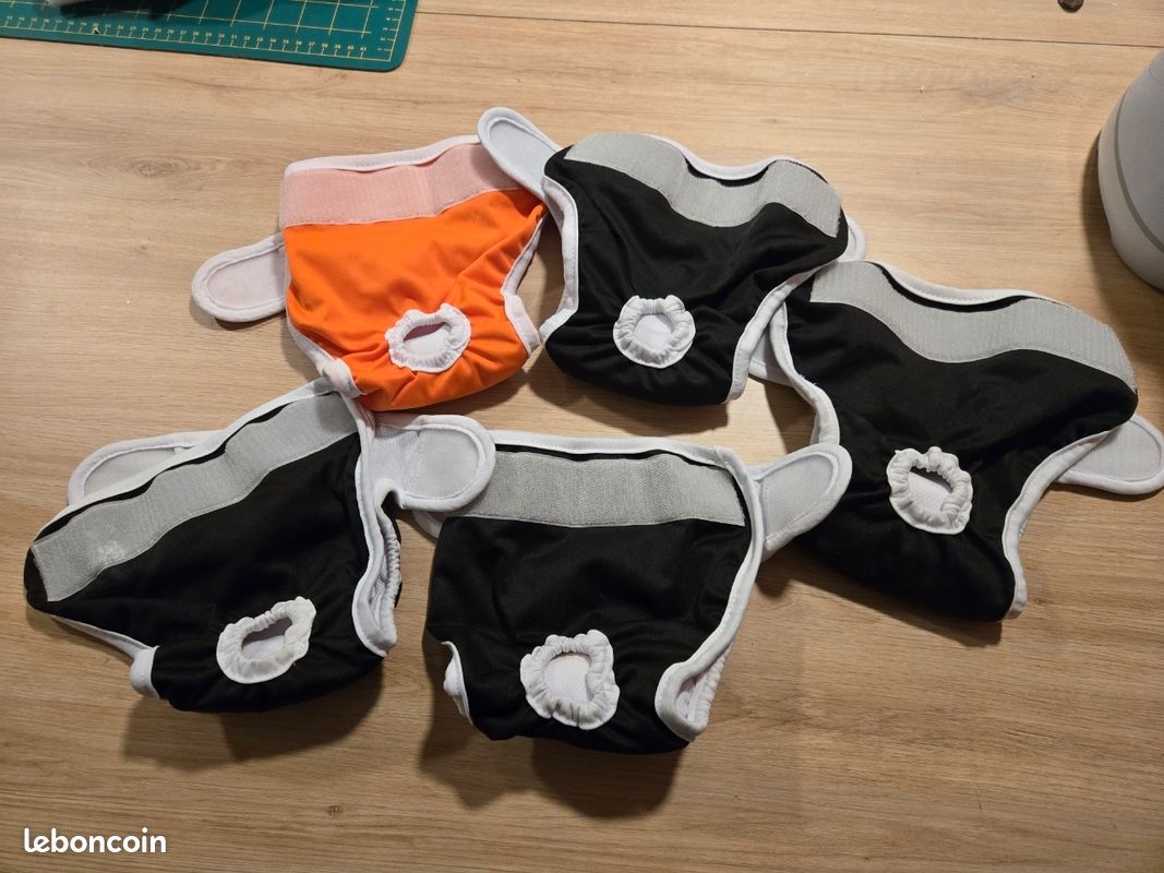 5 Culottés chaleurs chienne taille S (shih tzu) (image 1)